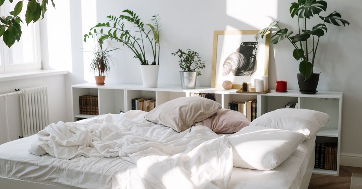 Bright bedroom with indoor plants and natural sunlight streaming in